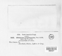 Image Associated With the Occurence